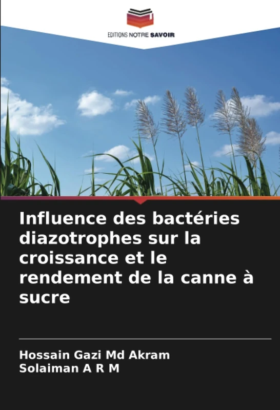 Influence des bactéries diazotrophes sur la croissance et le rendement de la canne à sucre - Image 1