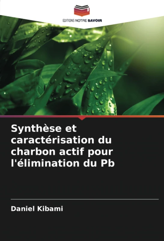 Synthèse et caractérisation du charbon actif pour l'élimination du Pb - Image 1
