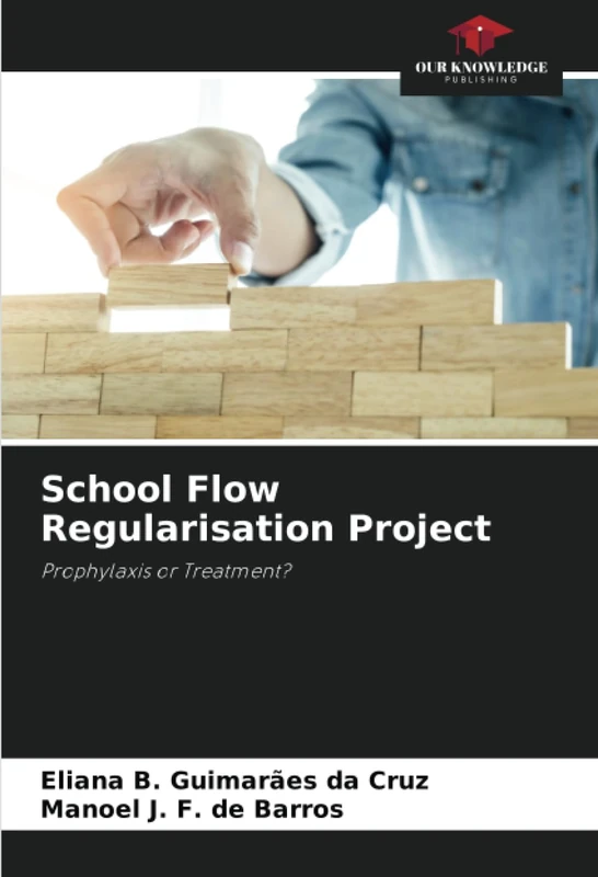 School Flow Regularisation Project: Prophylaxis or Treatment? - Image 1