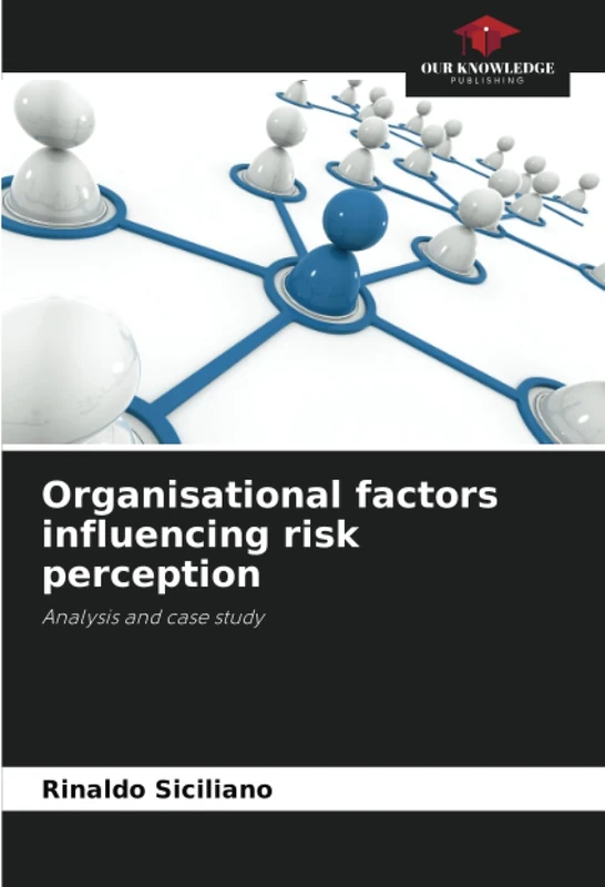 Organisational factors influencing risk perception: Analysis and case study