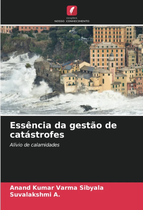 Essência da gestão de catástrofes: Alívio de calamidades