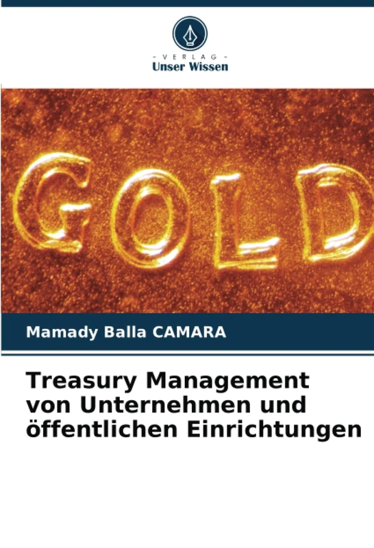 Treasury Management von Unternehmen und öffentlichen Einrichtungen