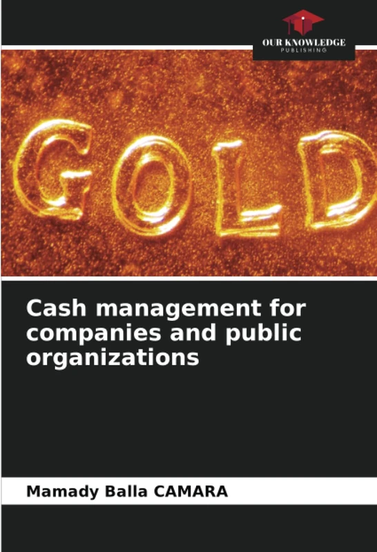 Cash management for companies and public organizations