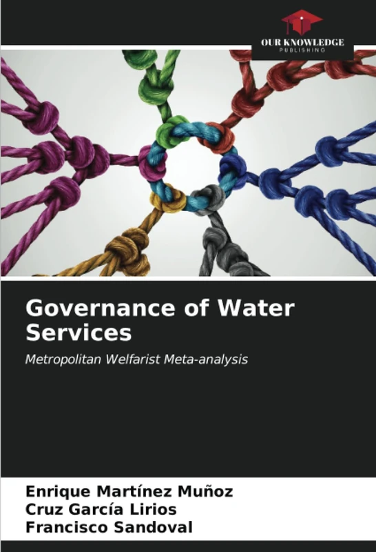 Governance of Water Services: Metropolitan Welfarist Meta-analysis