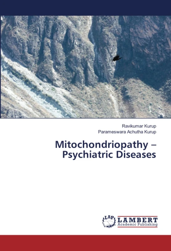 Mitochondriopathy – Psychiatric Diseases - Image 1