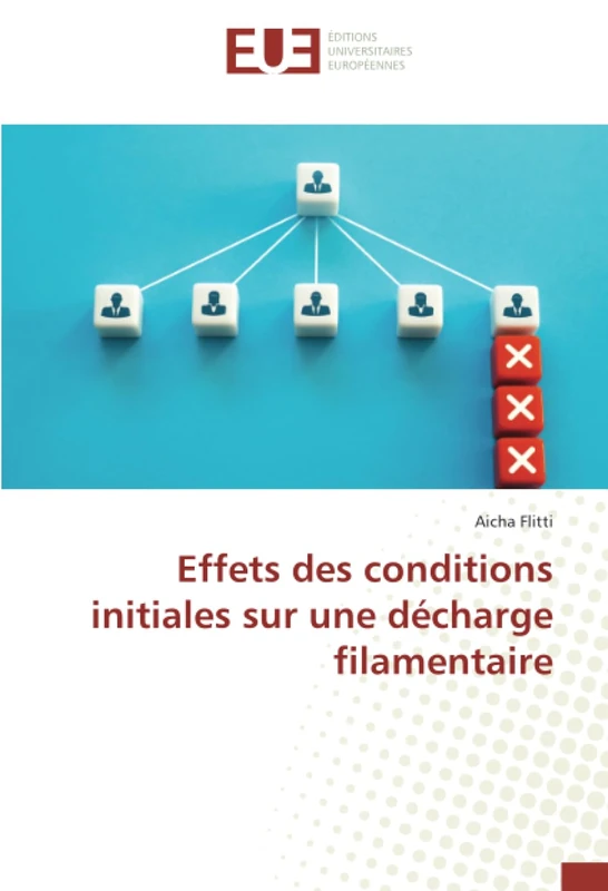 Effets des conditions initiales sur une décharge filamentaire
