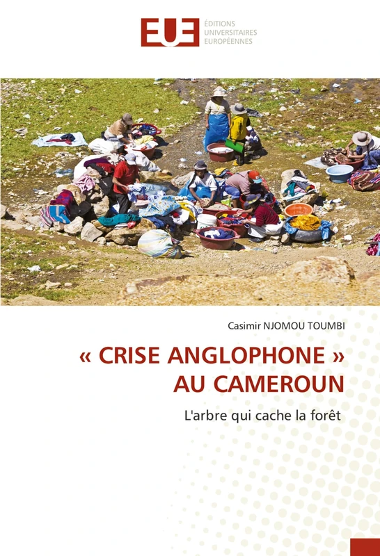 « CRISE ANGLOPHONE » AU CAMEROUN: L'arbre qui cache la forêt - Image 1