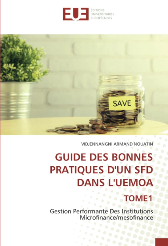 GUIDE DES BONNES PRATIQUES D'UN SFD DANS L'UEMOA TOME1: Gestion Performante Des Institutions Microfinance/mesofinance