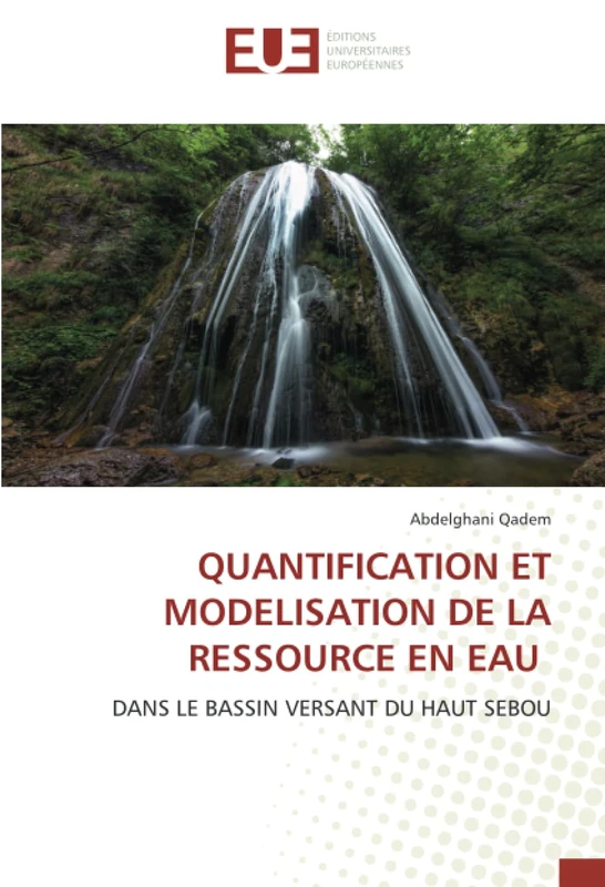 QUANTIFICATION ET MODELISATION DE LA RESSOURCE EN EAU: DANS LE BASSIN VERSANT DU HAUT SEBOU
