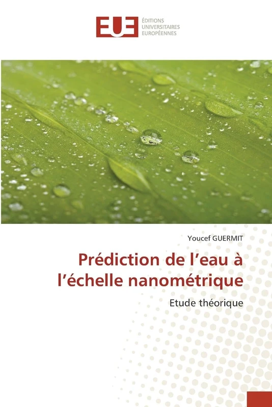 Prédiction de l’eau à l’échelle nanométrique: Etude théorique
