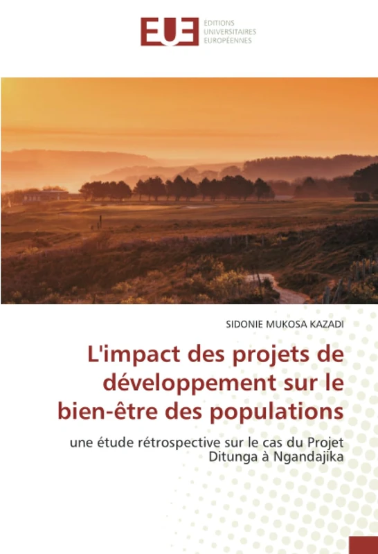 L'impact des projets de développement sur le bien-être des populations: une étude rétrospective sur le cas du Projet Ditunga à Ngandajika - Image 1