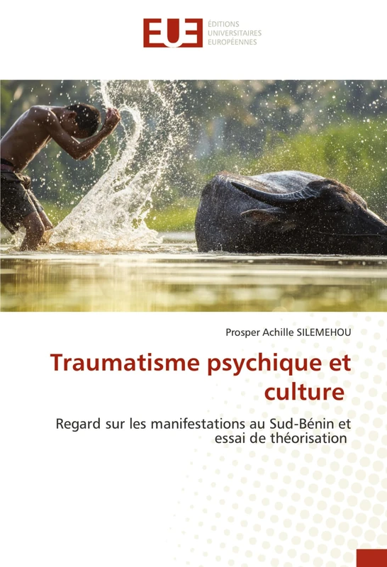 Traumatisme psychique et culture: Regard sur les manifestations au Sud-Bénin et essai de théorisation