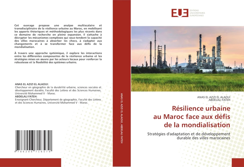 Résilience urbaine au Maroc face aux défis de la mondialisation: Stratégies d'adaptation et de développement durable des villes marocaines