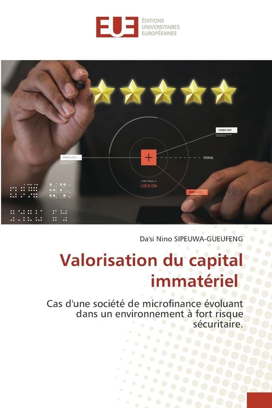 Valorisation du capital immatériel: Cas d'une société de microfinance évoluant dans un environnement à fort risque sécuritaire.