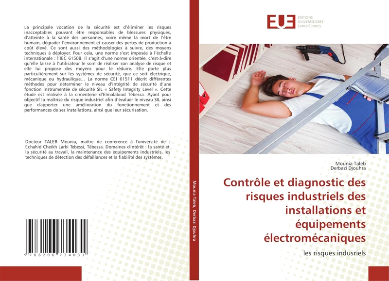 Contrôle et diagnostic des risques industriels des installations et équipements électromécaniques: les risques indusriels