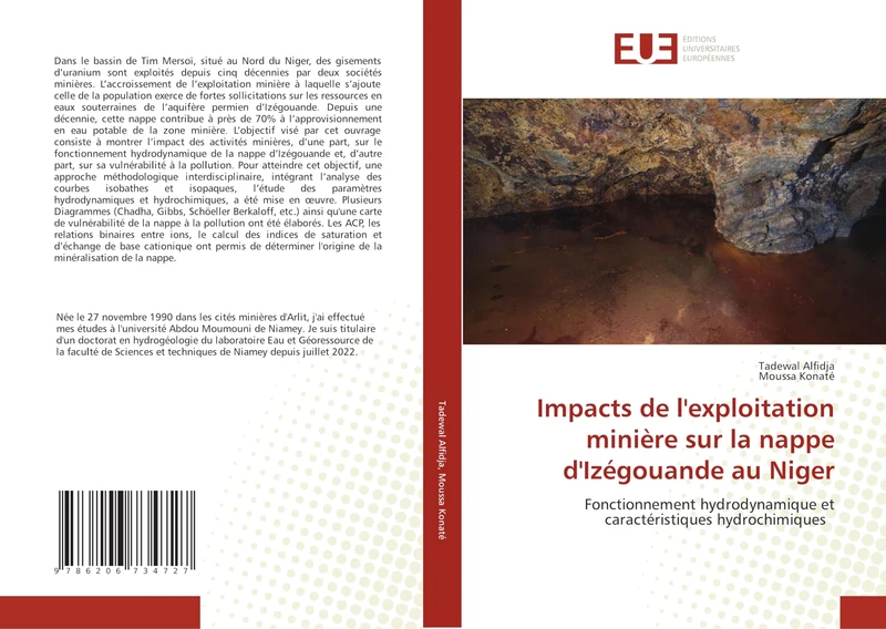 Impacts de l'exploitation minière sur la nappe d'Izégouande au Niger: Fonctionnement hydrodynamique et caractéristiques hydrochimiques