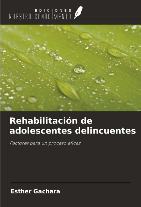 Rehabilitación de adolescentes delincuentes: Factores para un proceso eficaz