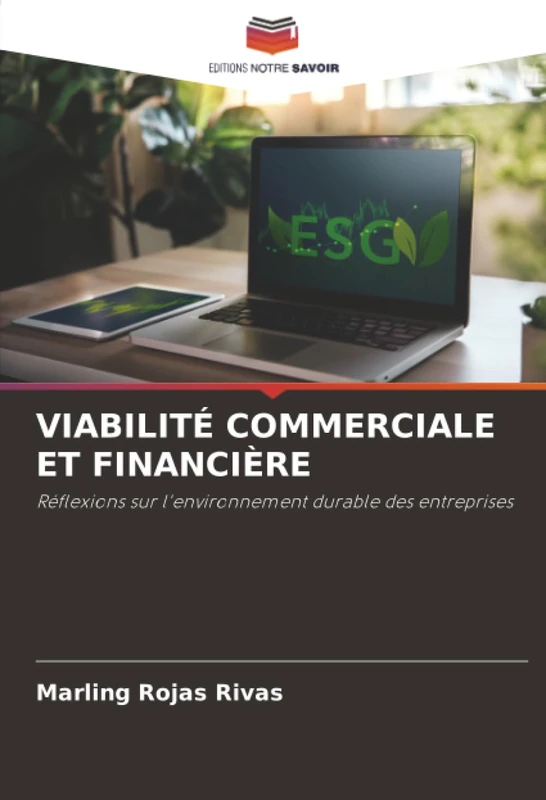 VIABILITÉ COMMERCIALE ET FINANCIÈRE: Réflexions sur l'environnement durable des entreprises