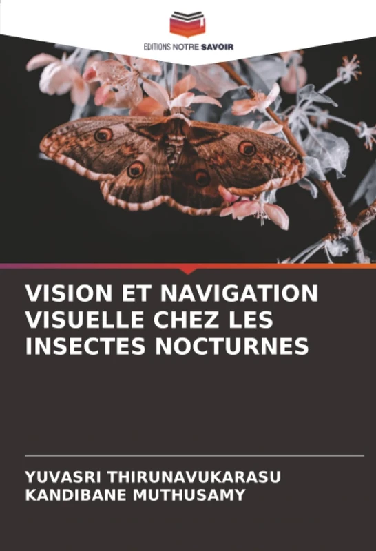 VISION ET NAVIGATION VISUELLE CHEZ LES INSECTES NOCTURNES