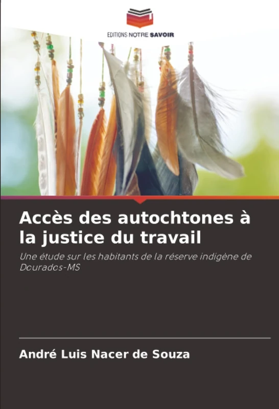 Accès des autochtones à la justice du travail: Une étude sur les habitants de la réserve indigène de Dourados-MS