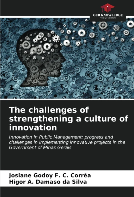 The challenges of strengthening a culture of innovation: Innovation in Public Management: progress and challenges in implementing innovative projects in the Government of Minas Gerais - Image 1