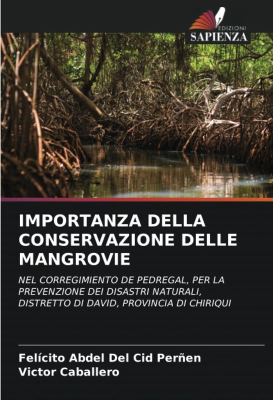IMPORTANZA DELLA CONSERVAZIONE DELLE MANGROVIE: NEL CORREGIMIENTO DE PEDREGAL, PER LA PREVENZIONE DEI DISASTRI NATURALI, DISTRETTO DI DAVID, PROVINCIA DI CHIRIQUI - Image 1