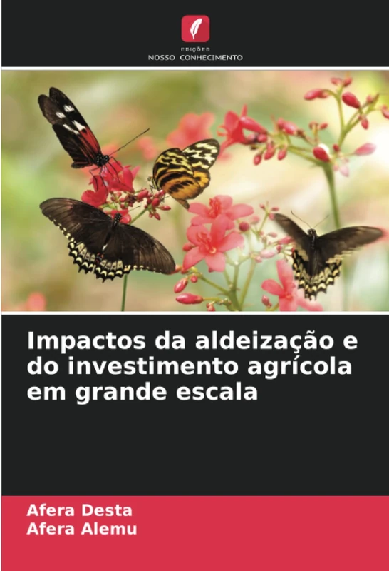 Impactos da aldeização e do investimento agrícola em grande escala