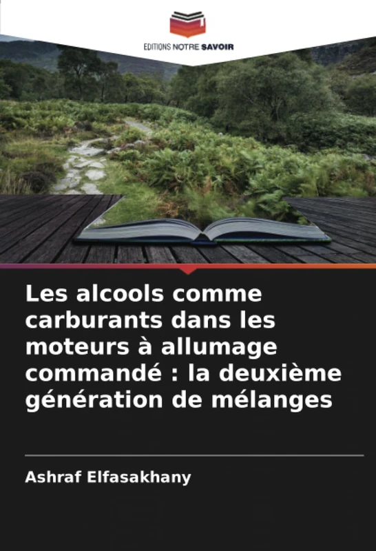 Les alcools comme carburants dans les moteurs à allumage commandé : la deuxième génération de mélanges