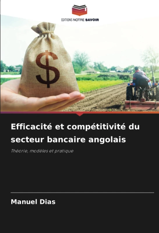 Efficacité et compétitivité du secteur bancaire angolais: Théorie, modèles et pratique