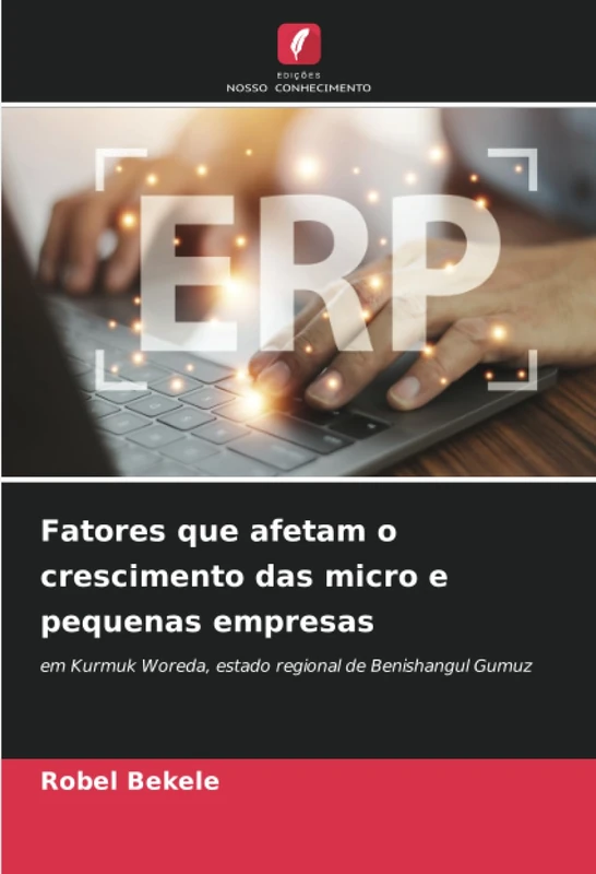 Fatores que afetam o crescimento das micro e pequenas empresas: em Kurmuk Woreda, estado regional de Benishangul Gumuz