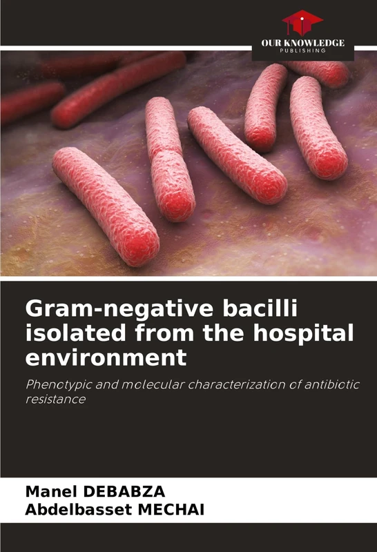 Gram-negative bacilli isolated from the hospital environment: Phenotypic and molecular characterization of antibiotic resistance