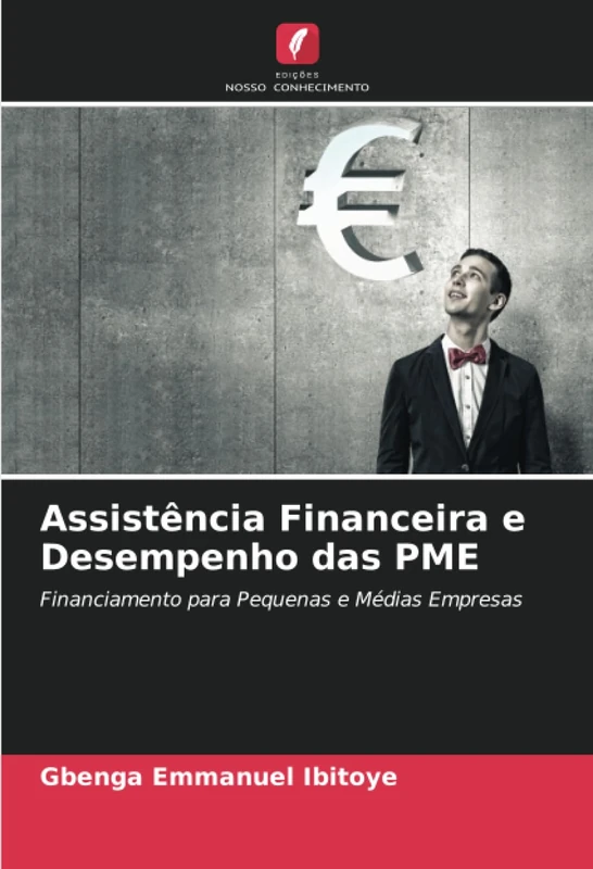 Assistência Financeira e Desempenho das PME: Financiamento para Pequenas e Médias Empresas