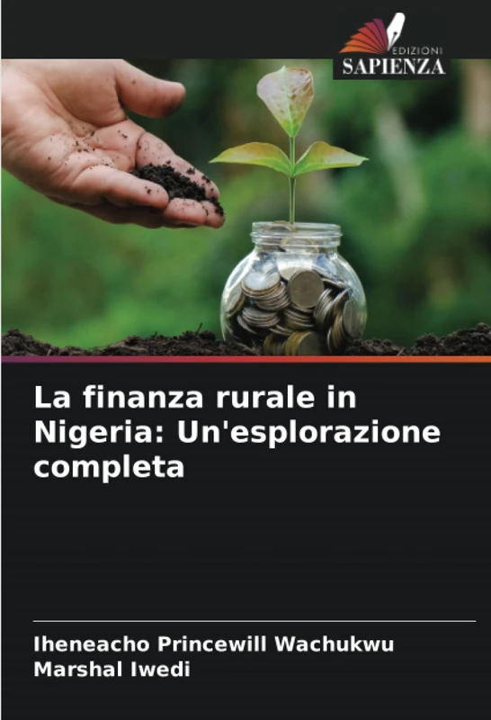 La finanza rurale in Nigeria: Un'esplorazione completa