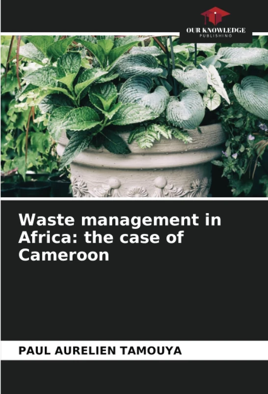 Waste management in Africa: the case of Cameroon