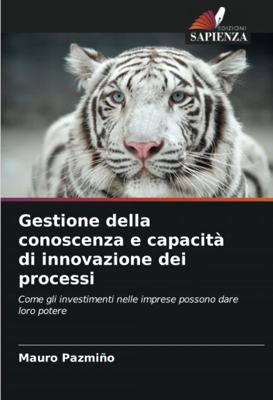 Gestione della conoscenza e capacità di innovazione dei processi: Come gli investimenti nelle imprese possono dare loro potere