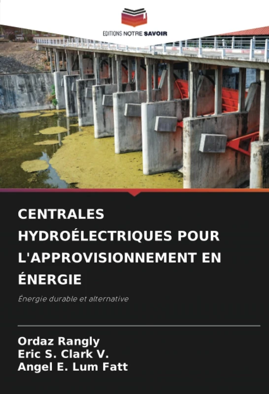 CENTRALES HYDROÉLECTRIQUES POUR L'APPROVISIONNEMENT EN ÉNERGIE: Énergie durable et alternative