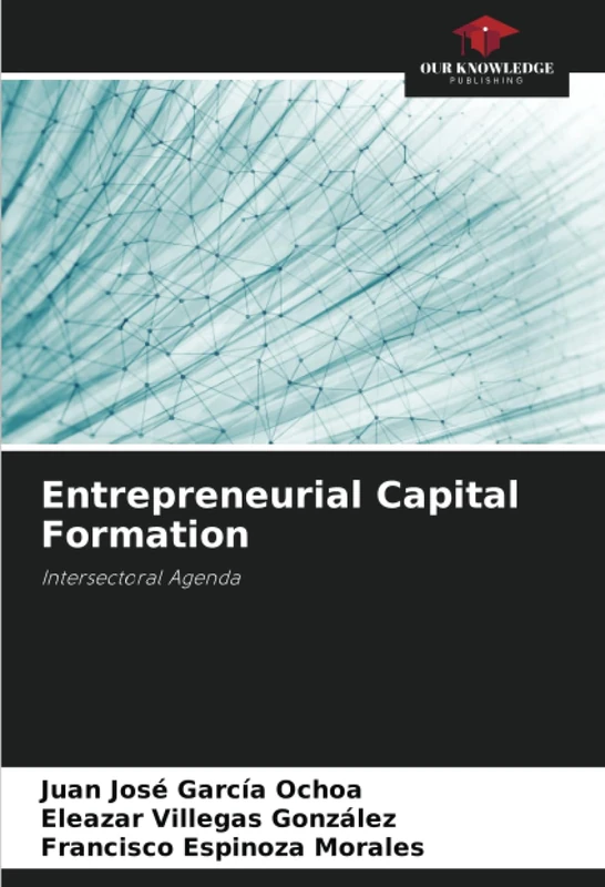 Entrepreneurial Capital Formation: Intersectoral Agenda