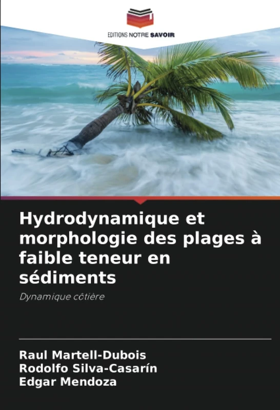 Hydrodynamique et morphologie des plages à faible teneur en sédiments: Dynamique côtière - Image 1