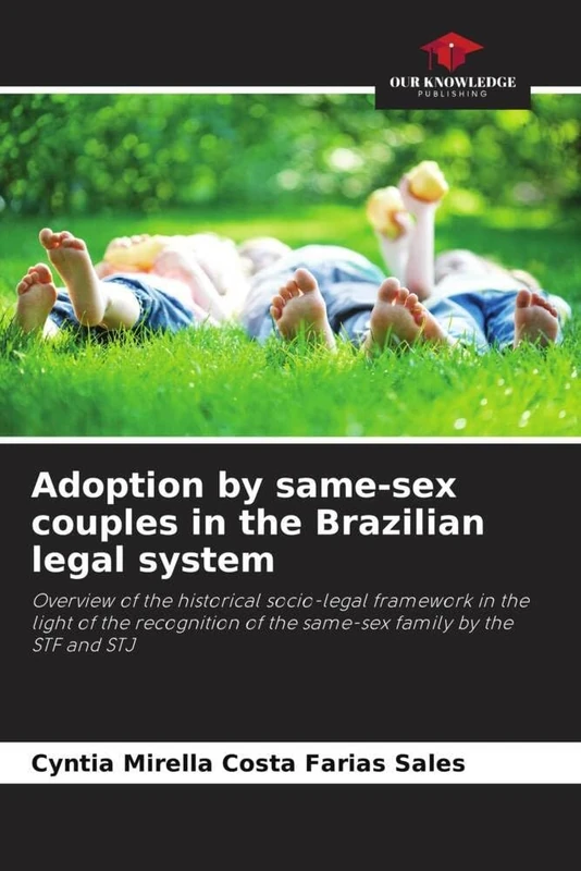 Adoption by same-sex couples in the Brazilian legal system: Overview of the historical socio-legal framework in the light of the recognition of the same-sex family by the STF and STJ