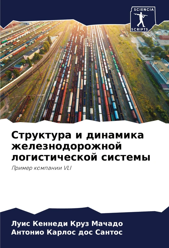 Структура и динамика железнодорожной лог: Primer kompanii VLI - Image 1