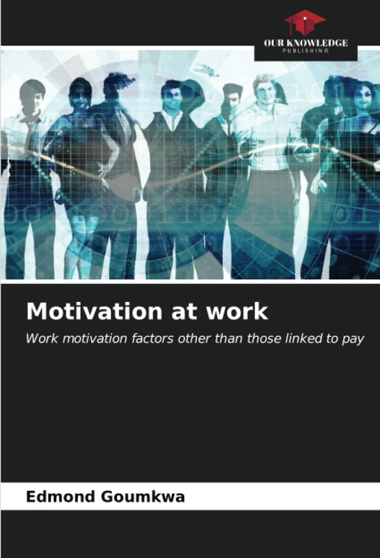 Motivation at work: Work motivation factors other than those linked to pay