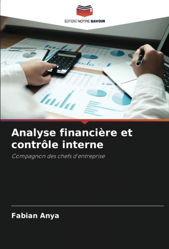 Analyse financière et contrôle interne: Compagnon des chefs d'entreprise