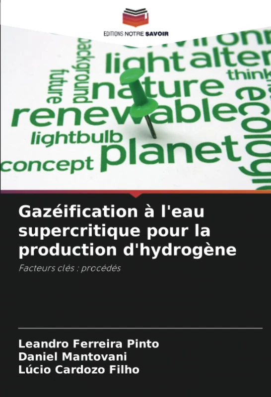 Gazéification à l'eau supercritique pour la production d'hydrogène: Facteurs clés : procédés - Image 1