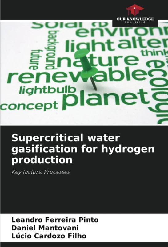 Supercritical water gasification for hydrogen production: Key factors: Processes