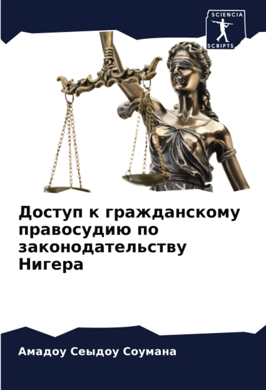 Доступ к гражданскому правосудию по законодательству Нигера