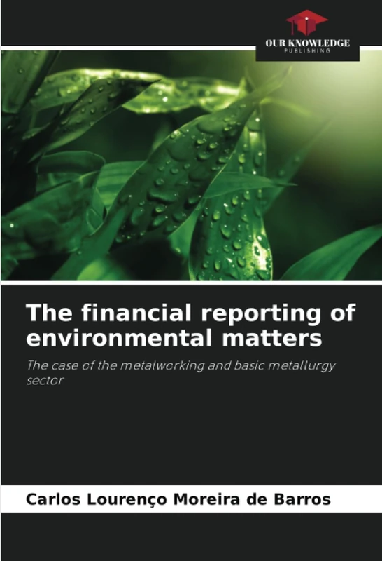 The financial reporting of environmental matters: The case of the metalworking and basic metallurgy sector