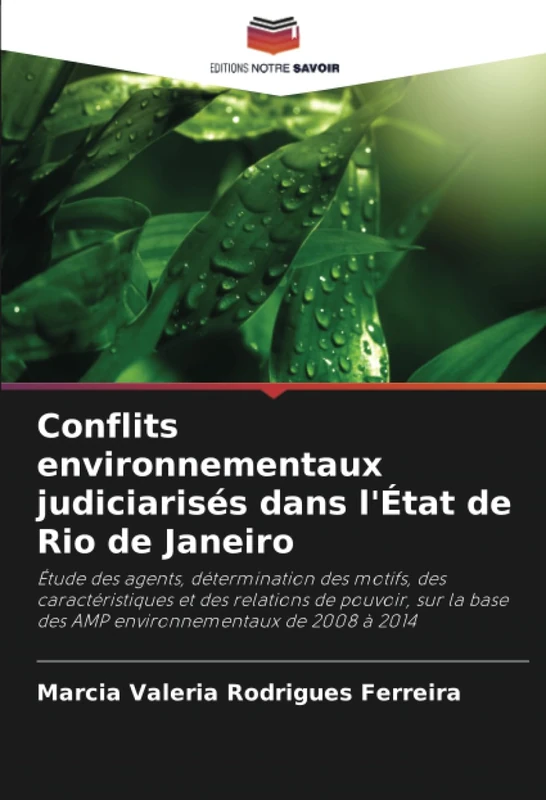 Conflits environnementaux judiciarisés dans l'État de Rio de Janeiro: Étude des agents, détermination des motifs, des caractéristiques et des ... base des AMP environnementaux de 2008 à 2014