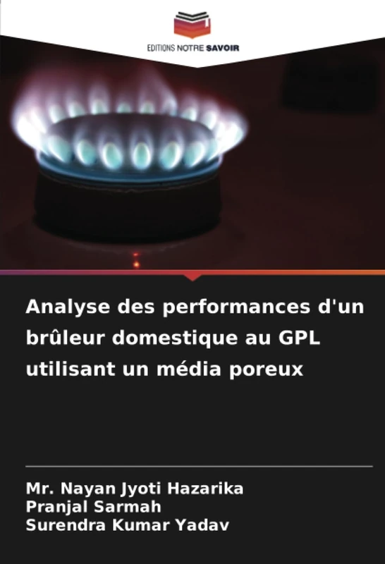 Analyse des performances d'un brûleur domestique au GPL utilisant un média poreux