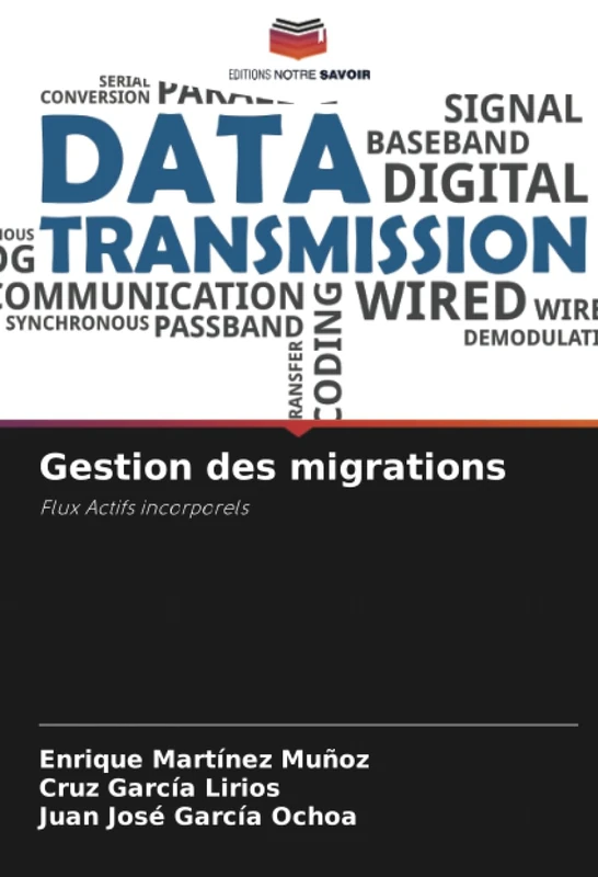 Gestion des migrations: Flux Actifs incorporels - Image 1