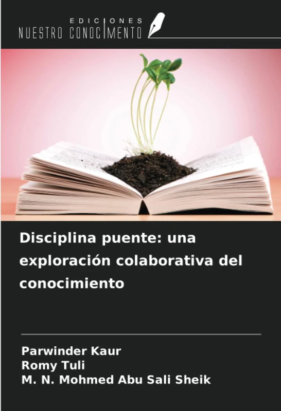 Disciplina puente: una exploración colaborativa del conocimiento